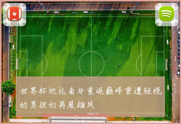 世界杯巡礼南非重返巅峰曾遭轻视的男孩们再展雄风